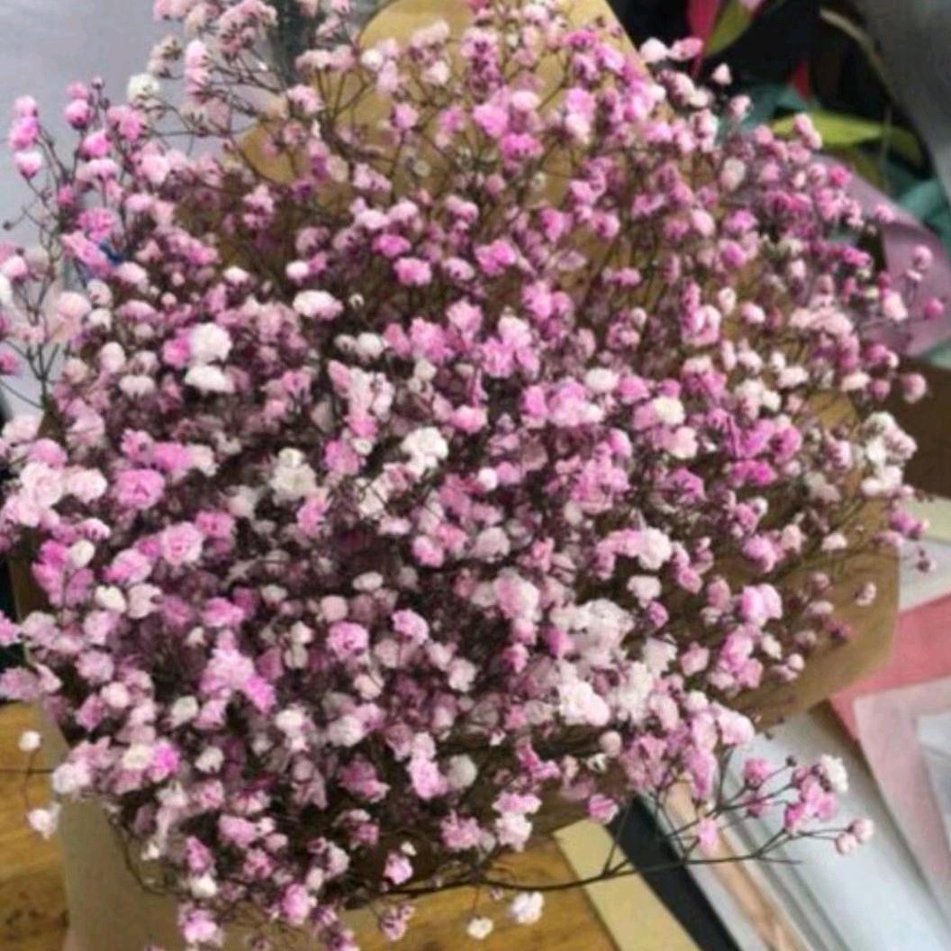 我是火火爱吃饭