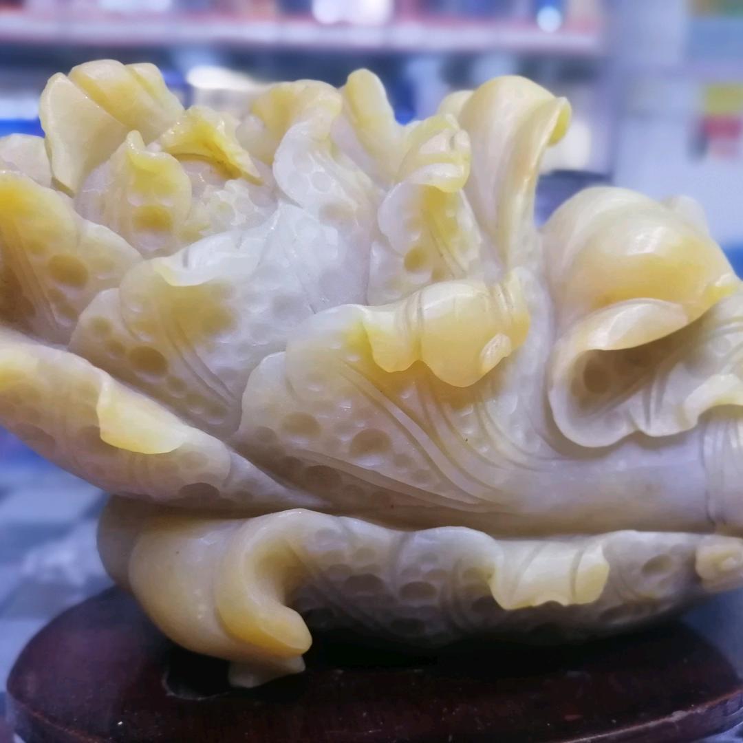 用户4859055633438