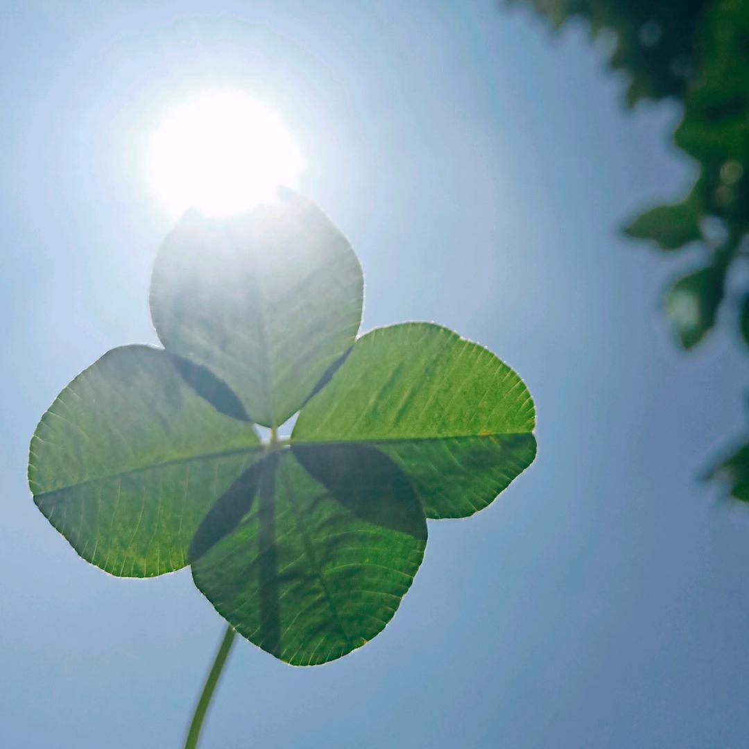 米果艺术培训学校