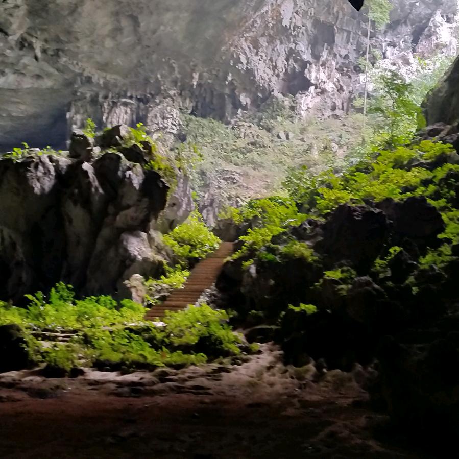 一生有你