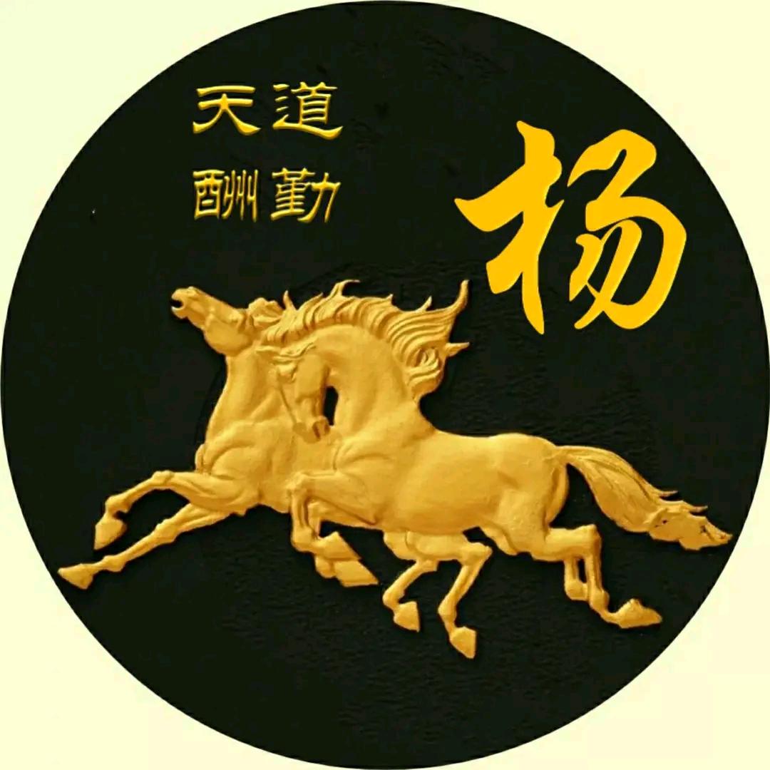 实干赢得未来