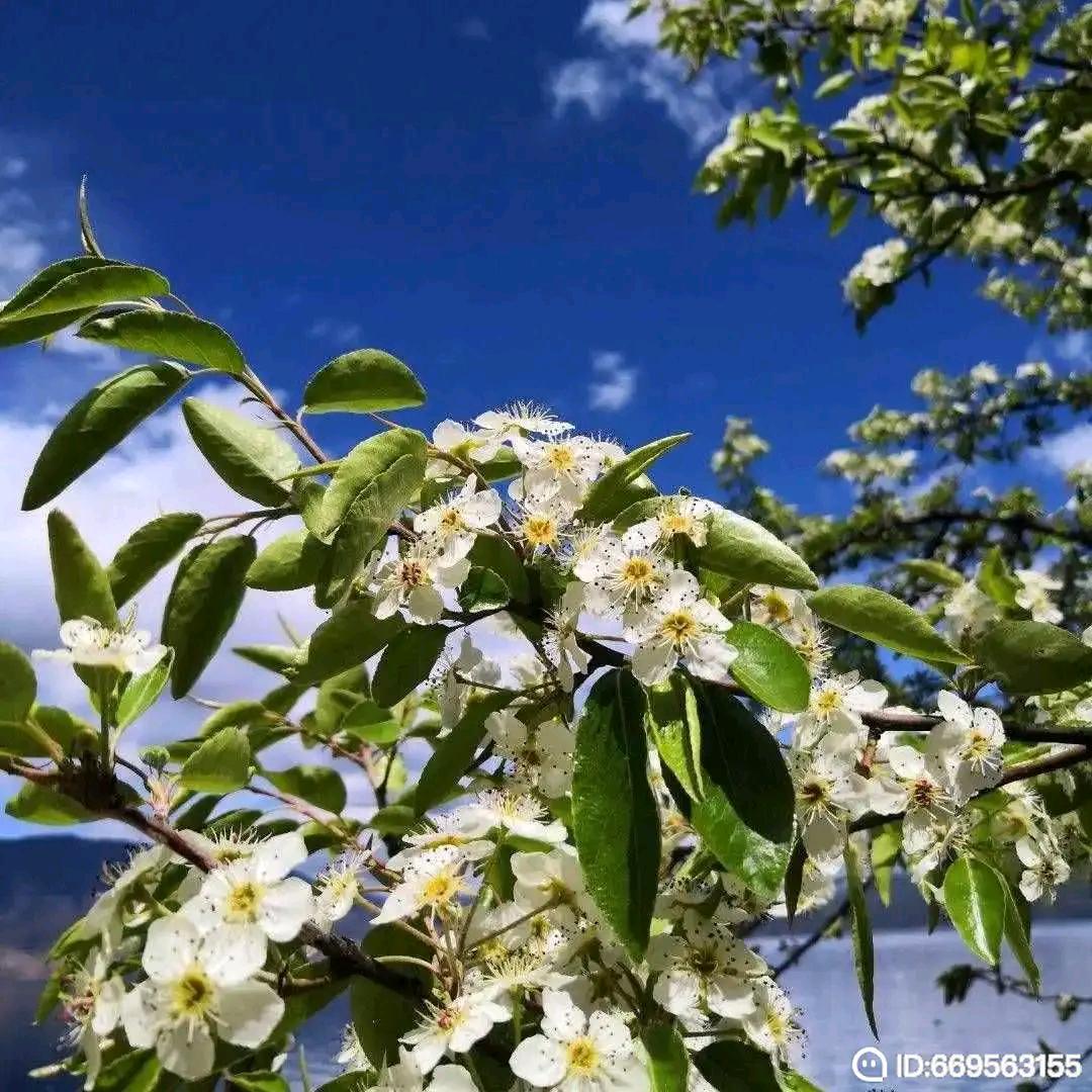 认真过好每一天