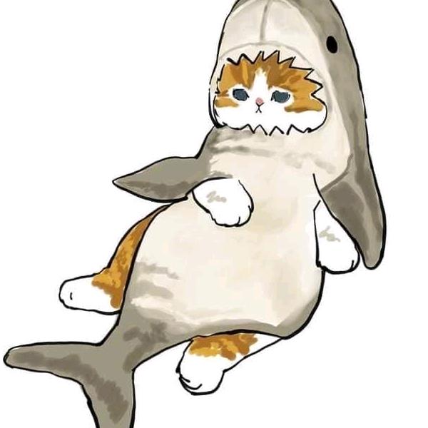 潮玩星城店-明耀之星