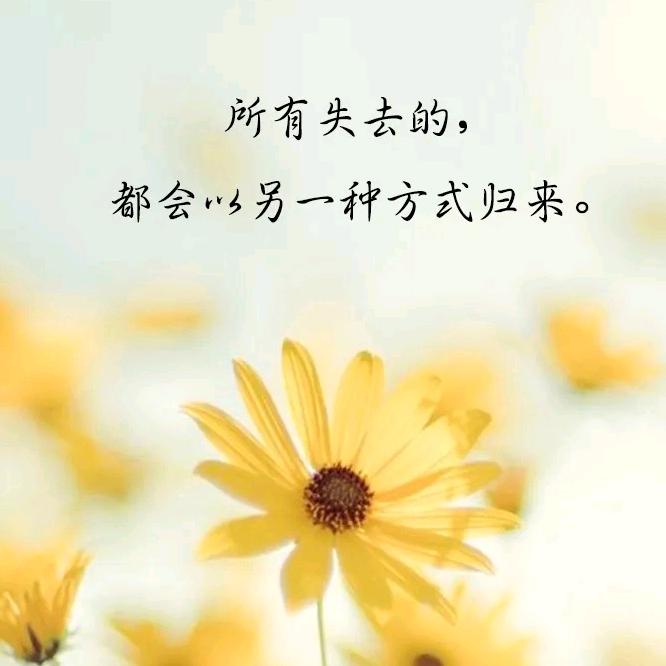 自由的鱼☆♬❅♧