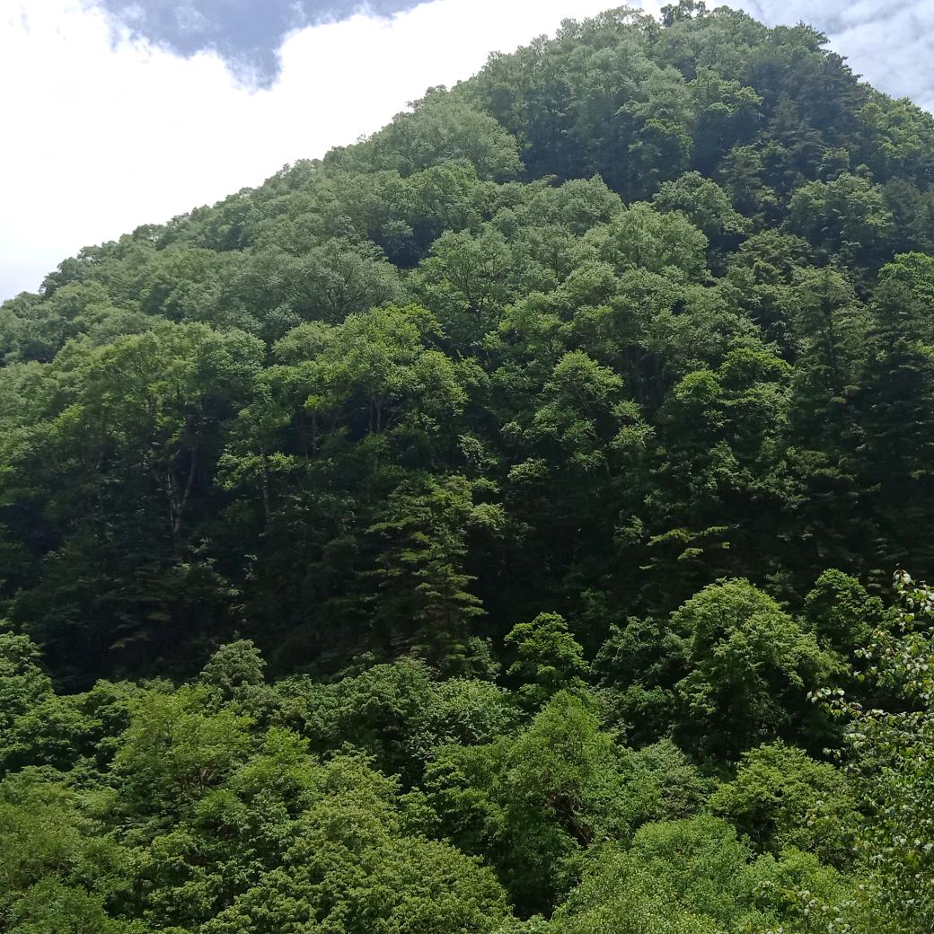 华亭市康元面粉加工厂