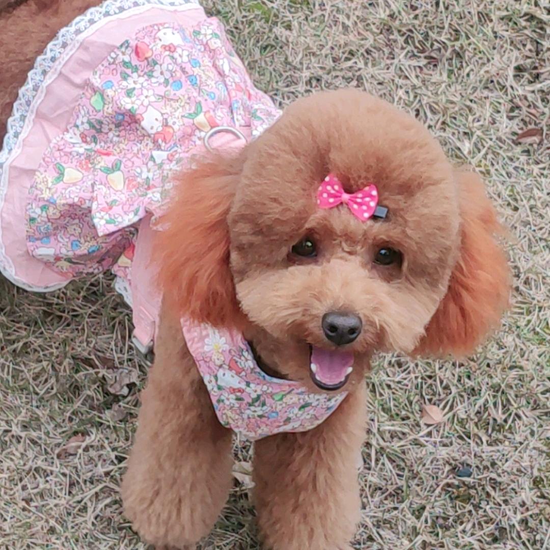 相伴一生