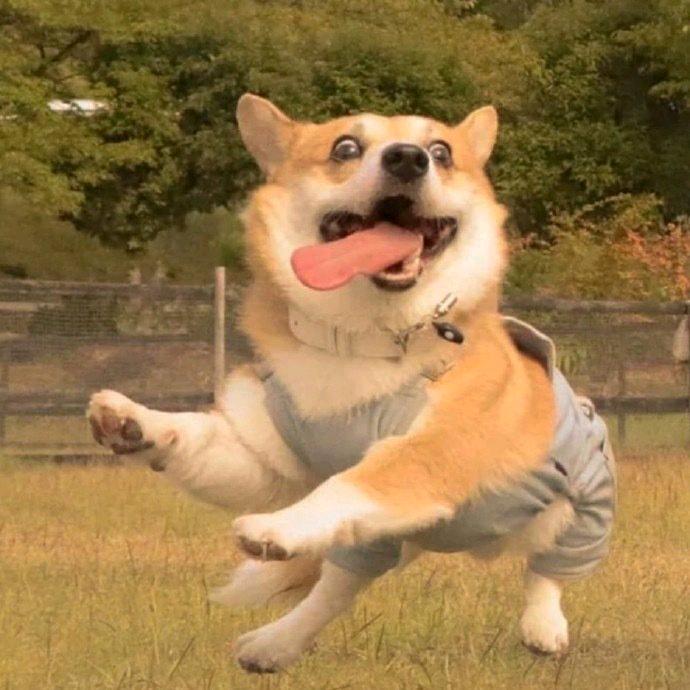 台版漫书