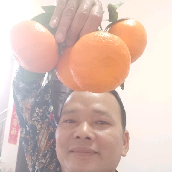 芒果啊乐