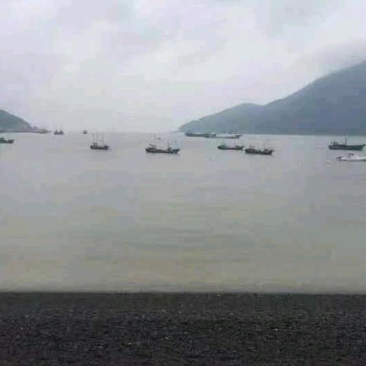 Z熙熙yy