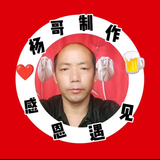 不离不弃杨哥(正能量)