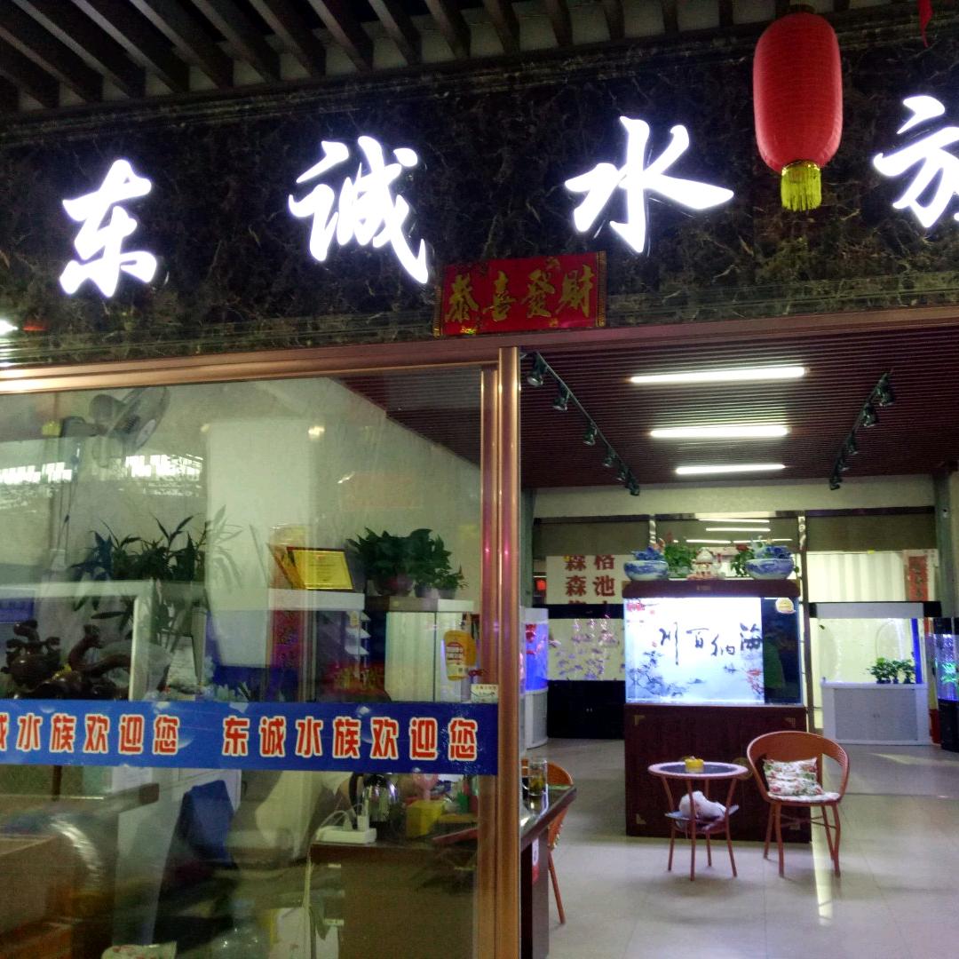 沐光而行🌼🍀一路生花🌻🌹