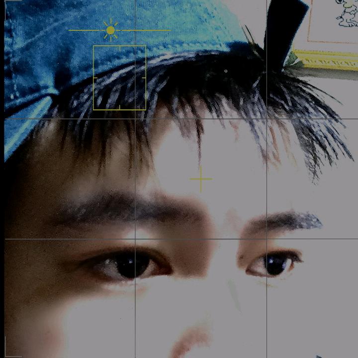 温柔只对她