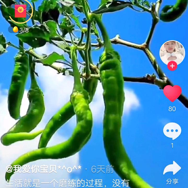 天为什么地①唐东晶歌跳舞好歌