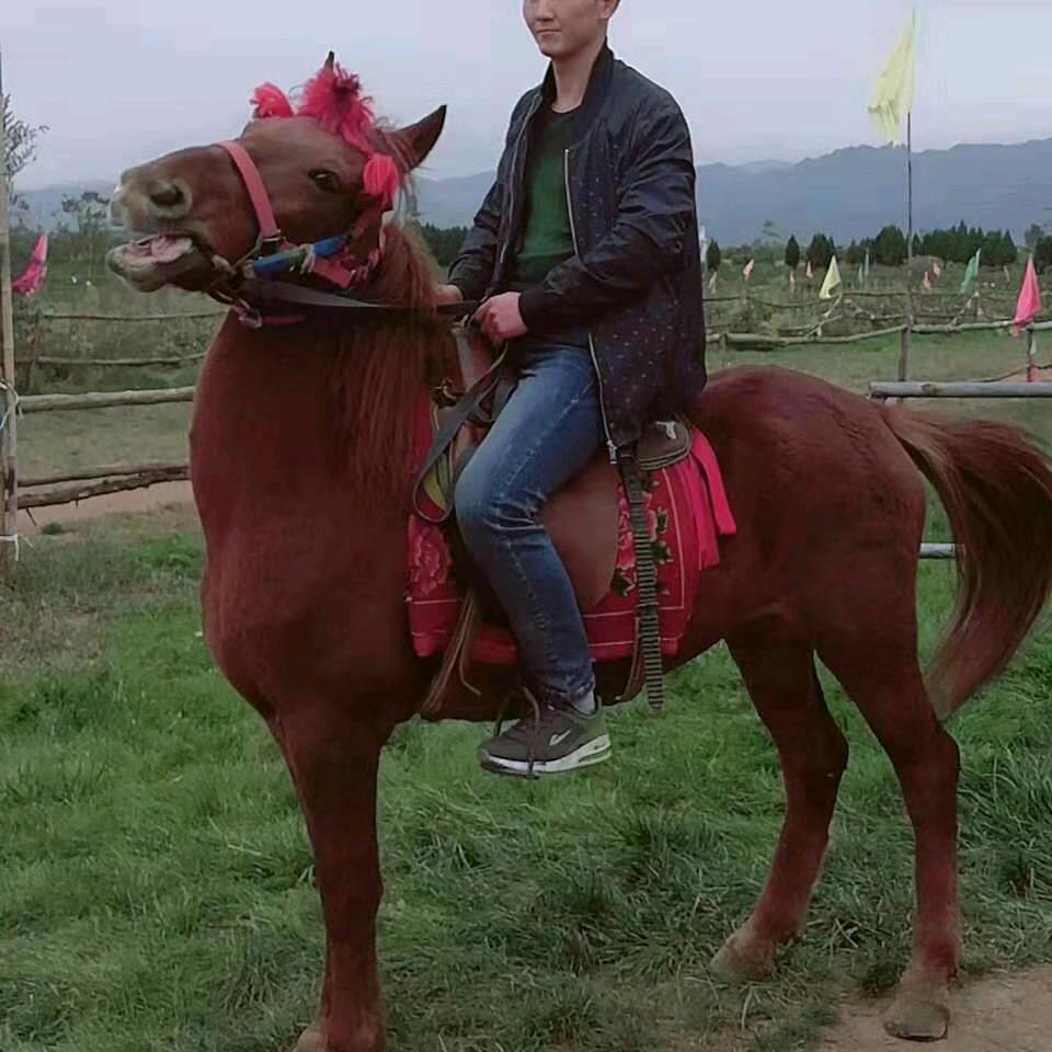 弼马温