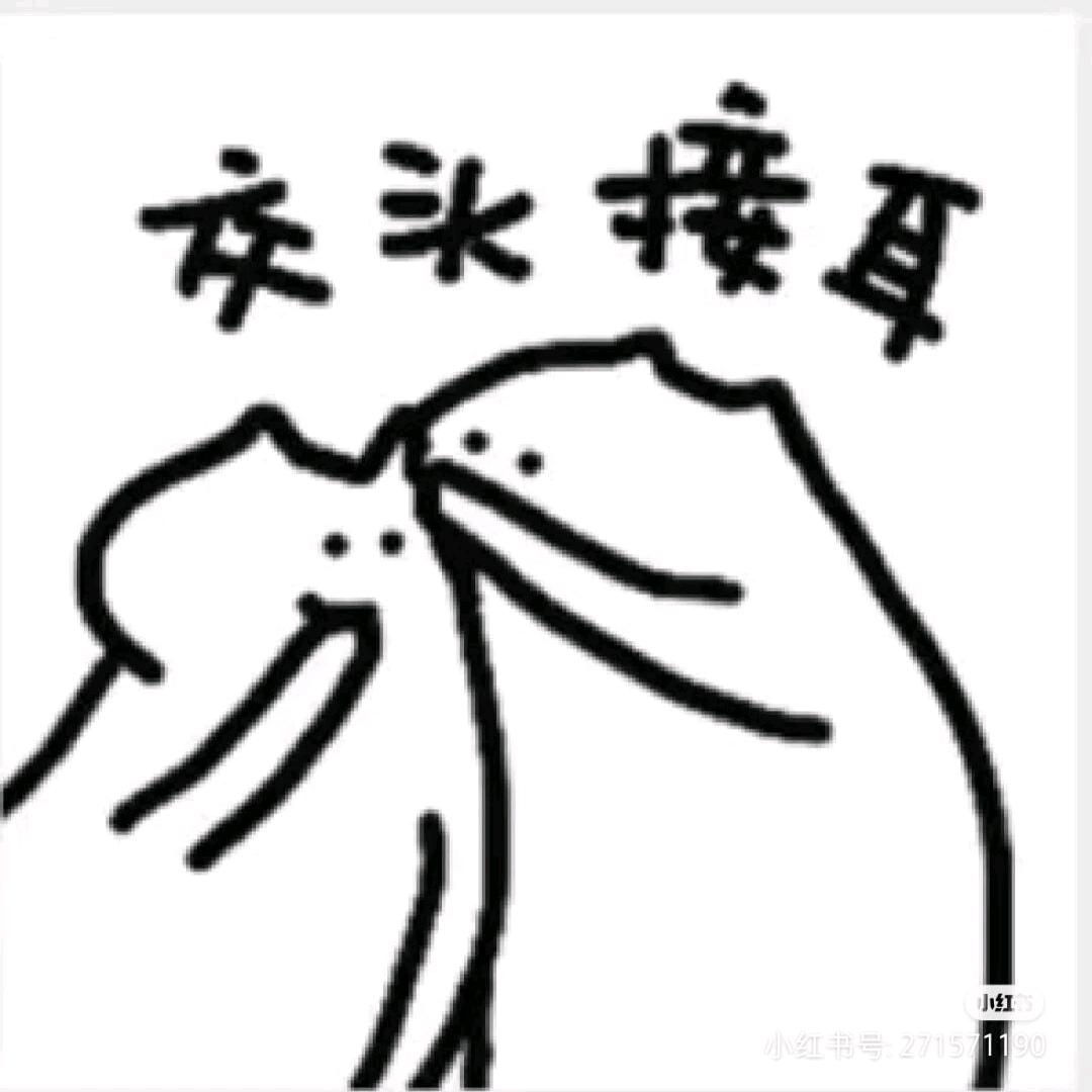 猪尼斯睡觉世界纪录保持者