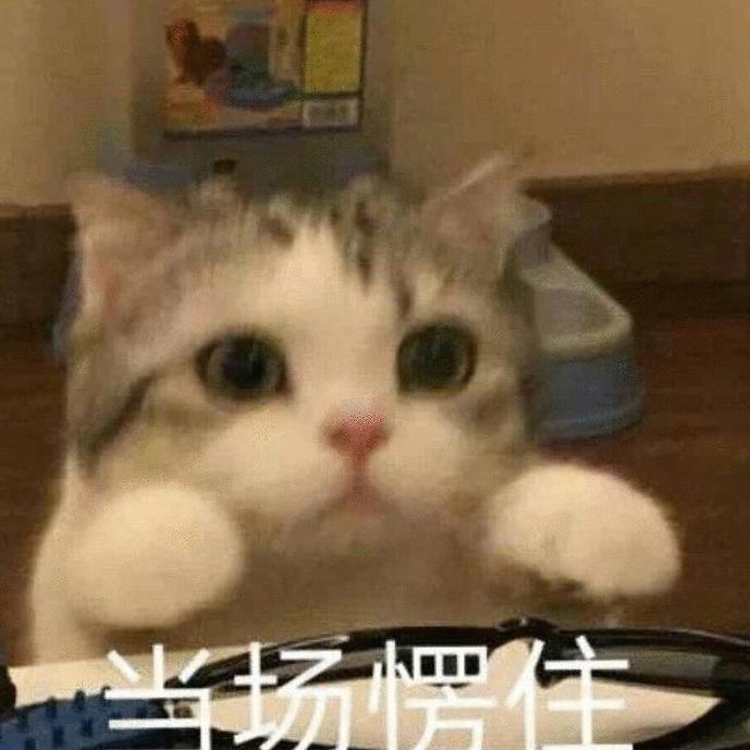 西柚柚