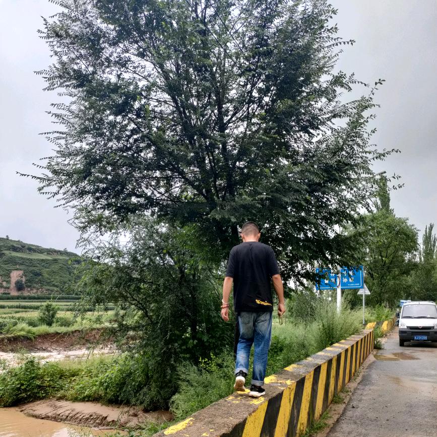 山西猪儿（农村娃）