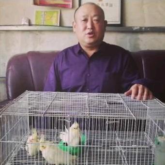 鹦鹉养殖场