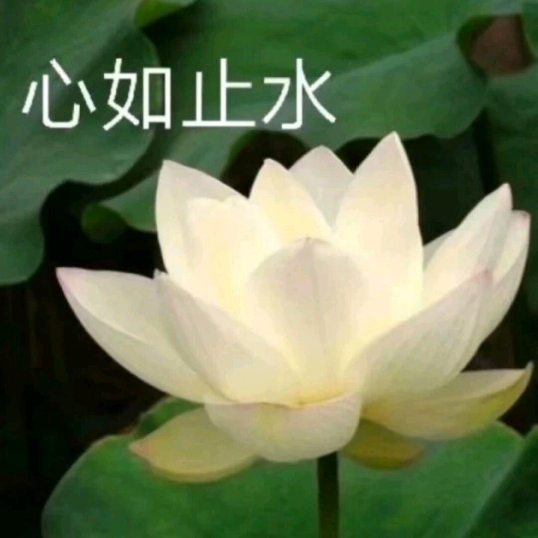 春天🦋