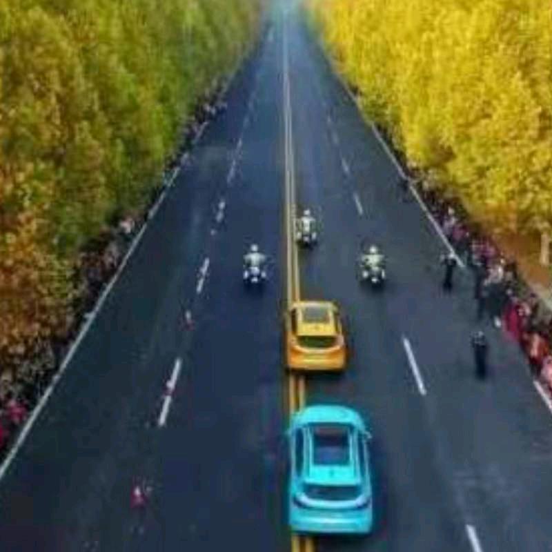 果园粉墙队