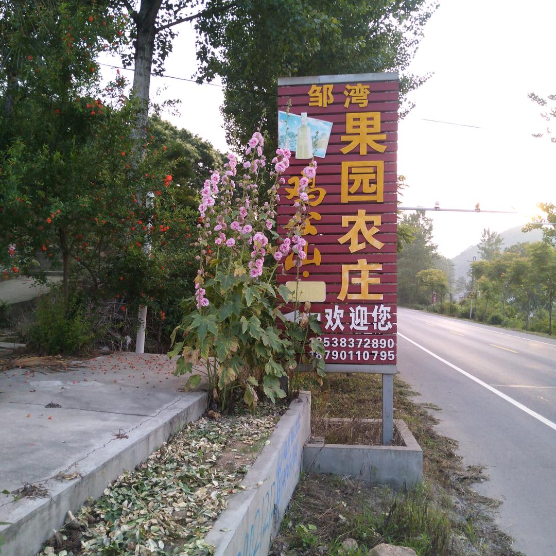 邹湾果园农庄