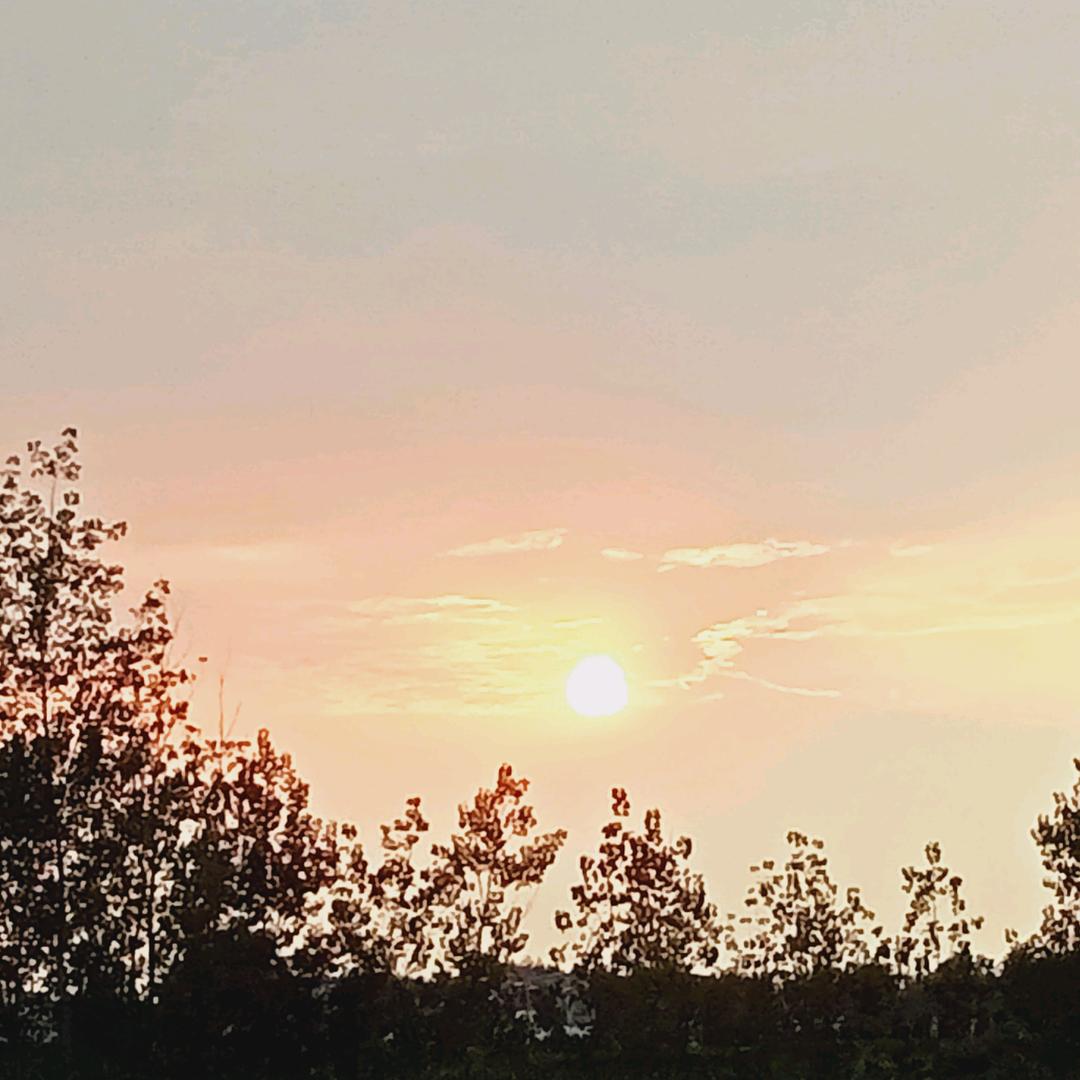 陶大姐加工凉皮牛筋面膨香酥糖酥饼芝麻酱