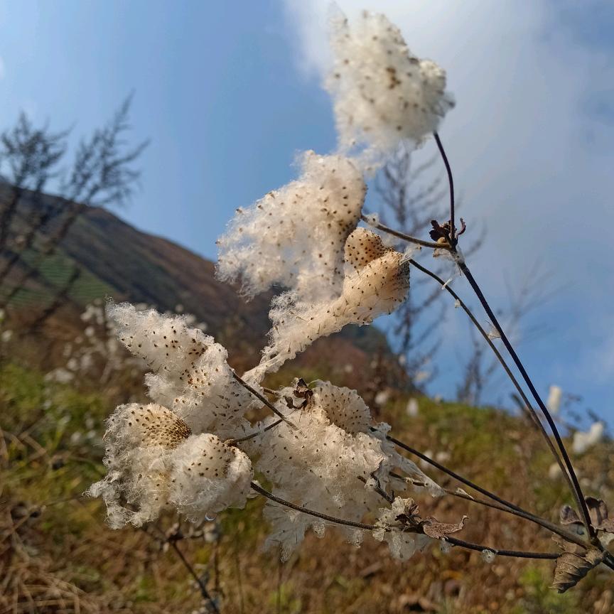 一生有你💞