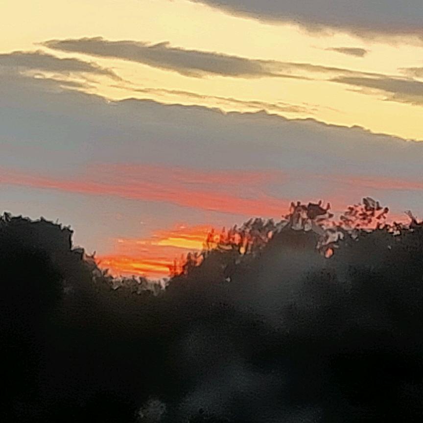 ඣ🥀深山᭄毕孟ꦿ
