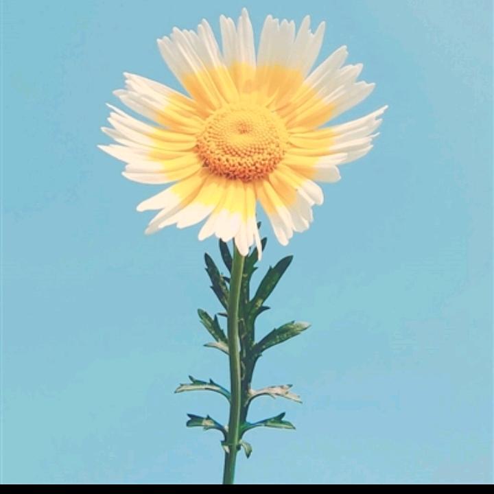 小宝贝