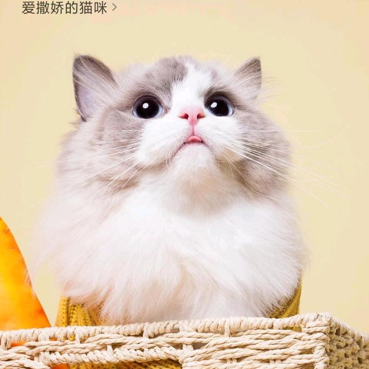 爱购优品哟