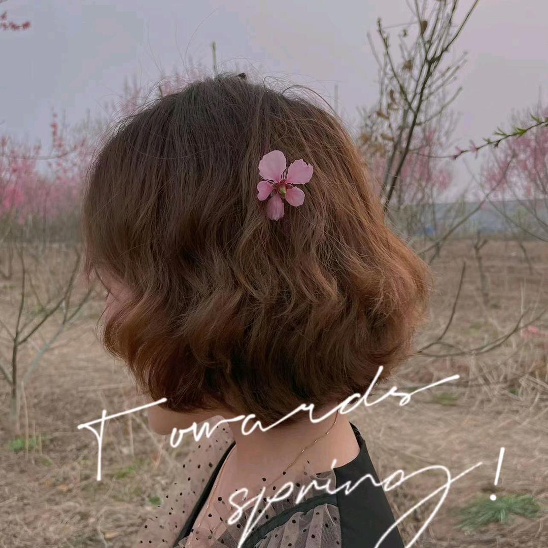 一博水泥围墙的青青