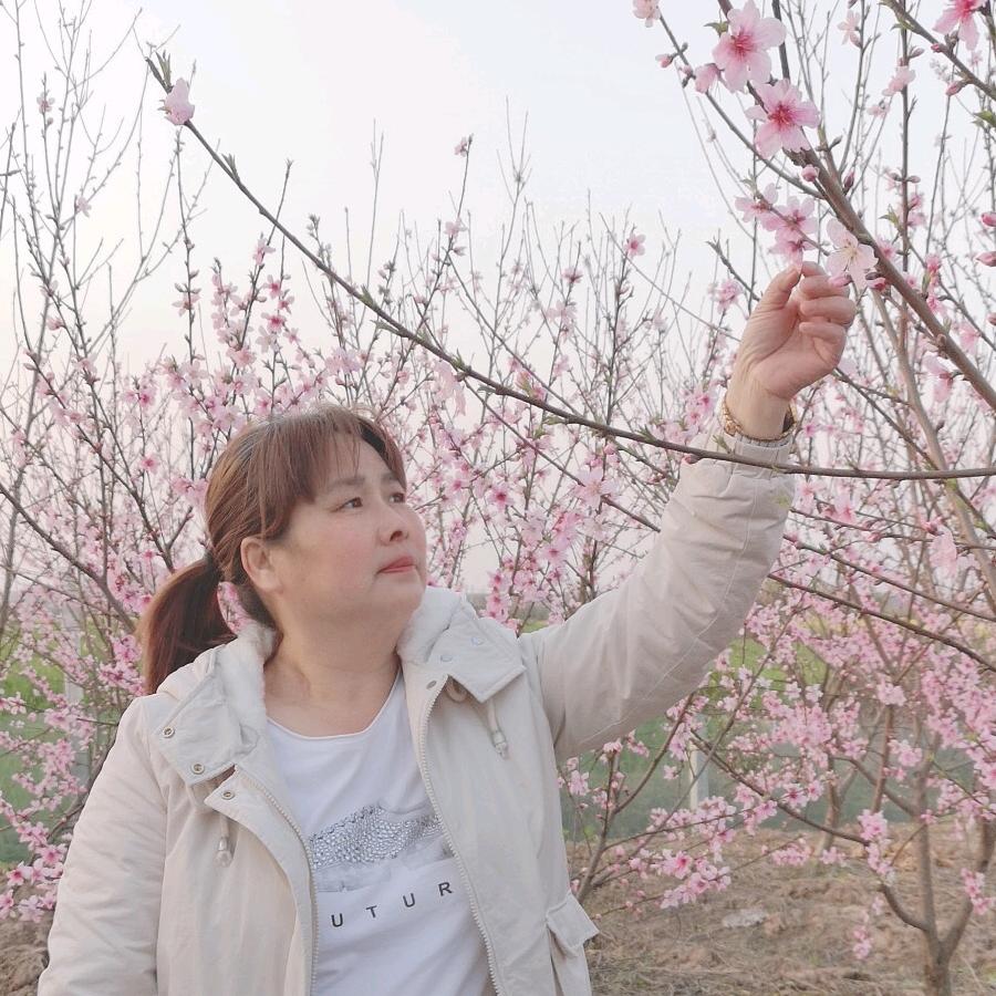 王师傅家宴一条龙