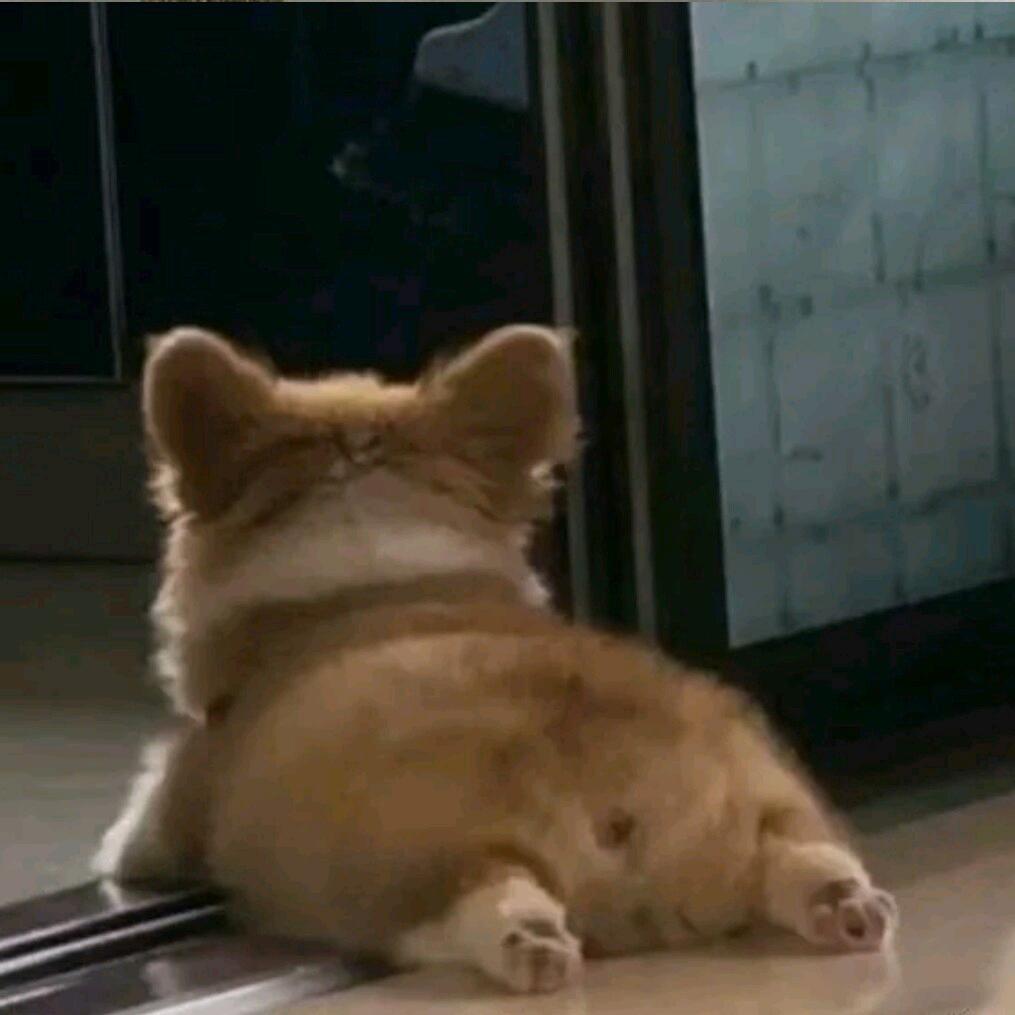 羊养鱼