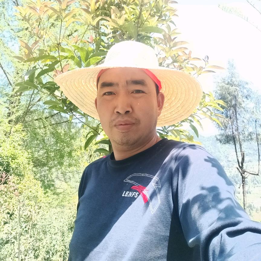 乡村春哥
