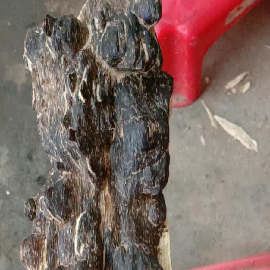 粤西沉香、沉香油、沉香虫漏