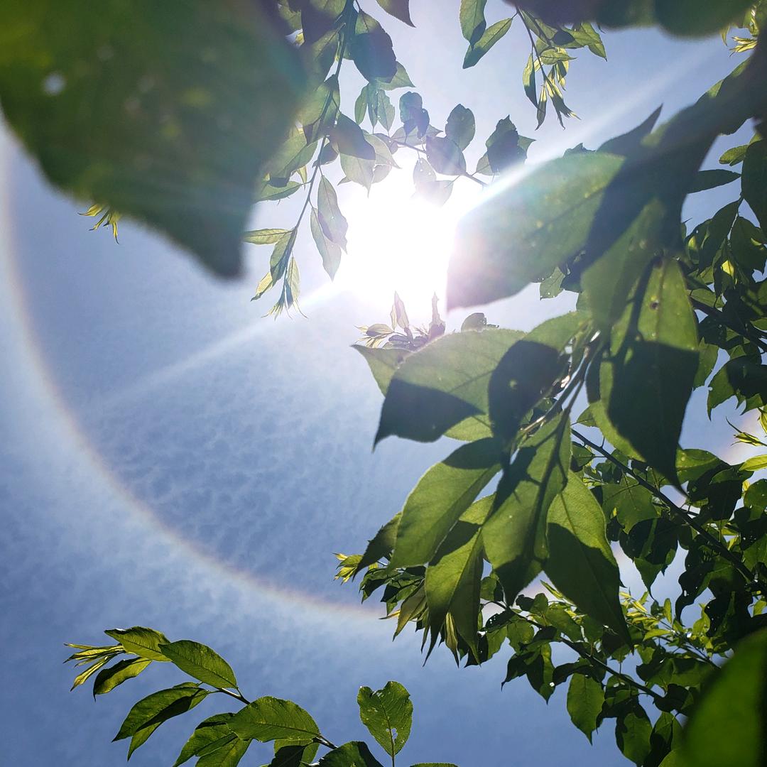 小江江江