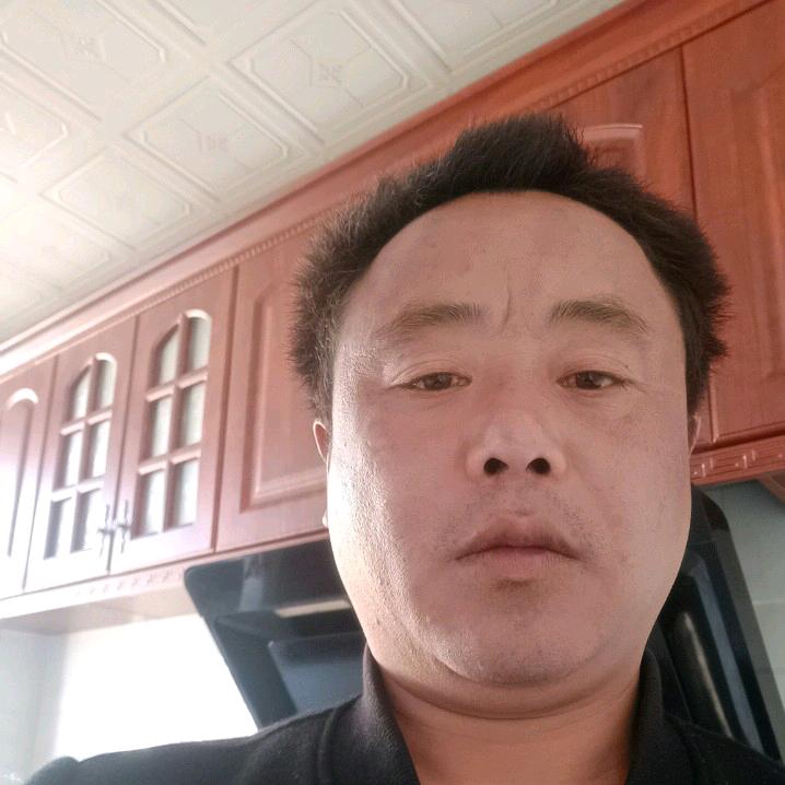 文歌