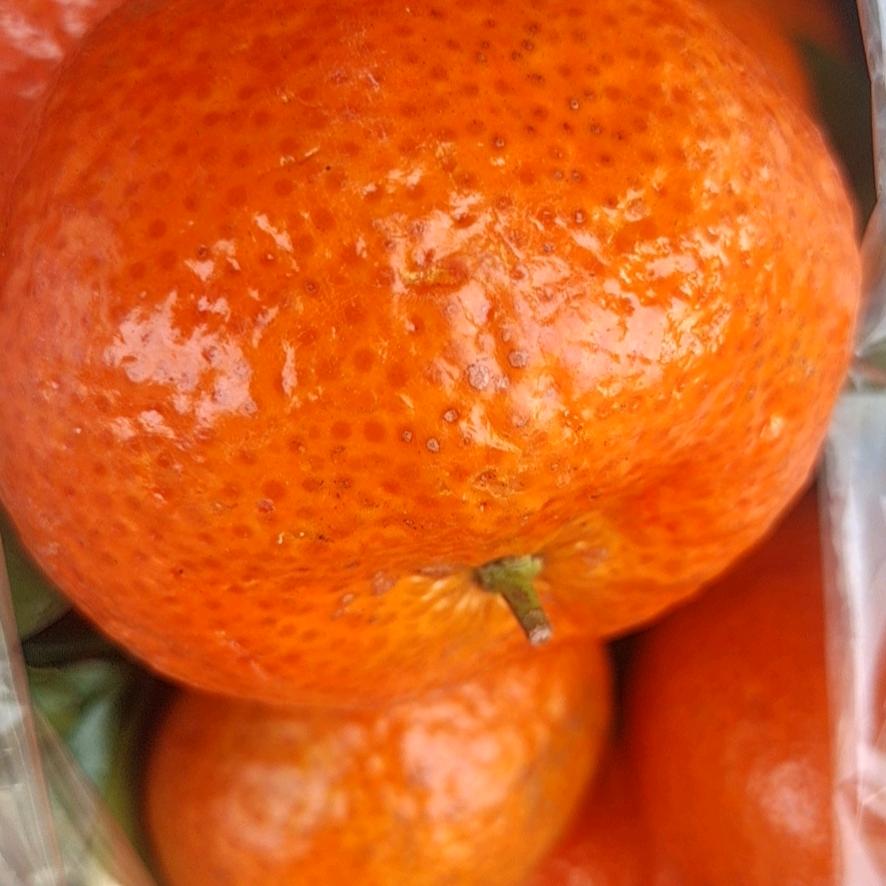 团品客·新享购生活广场专用号