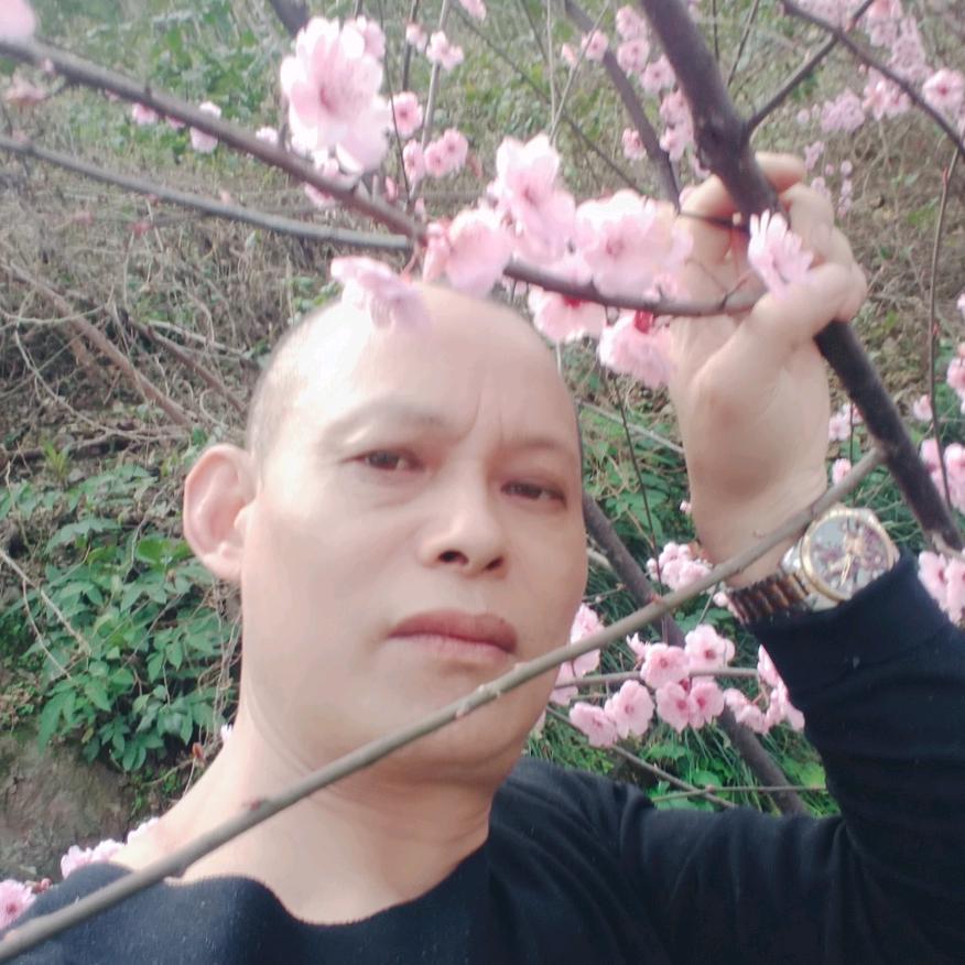 坐等网名