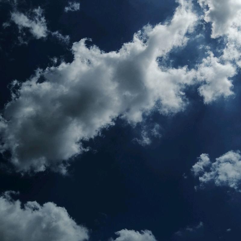 🌈悬湖鲫逝🌈