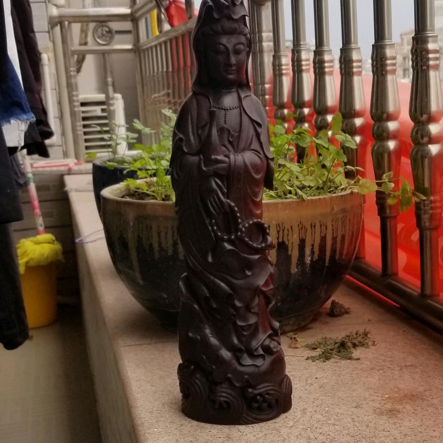 捨得（冲10万粉丝）