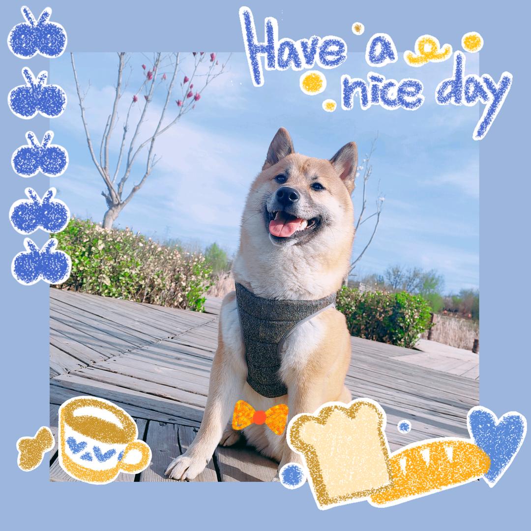 当然、我是小狮子🦁