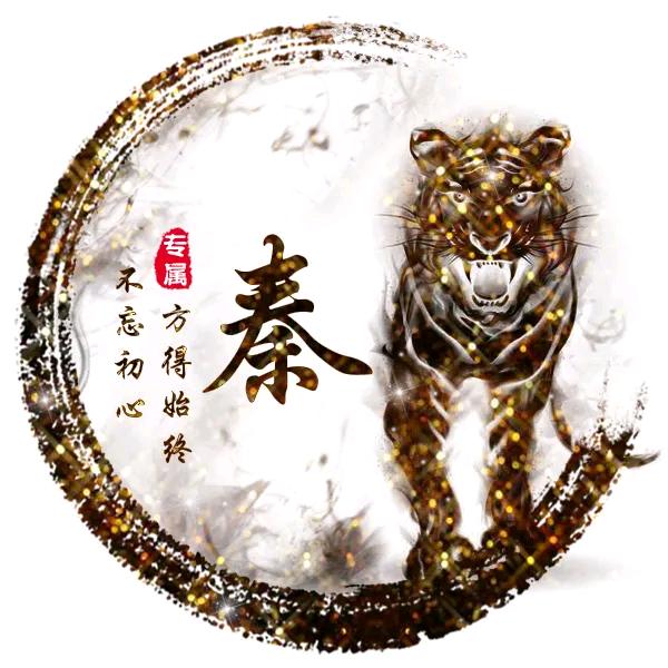 瑞驰汽车 | 秦恩军