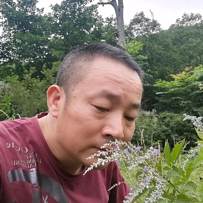一王打尽