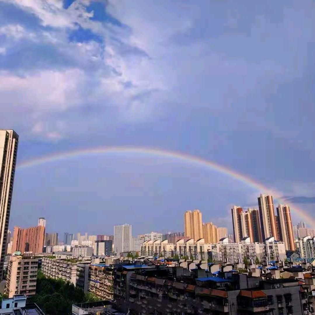 云深不知归处