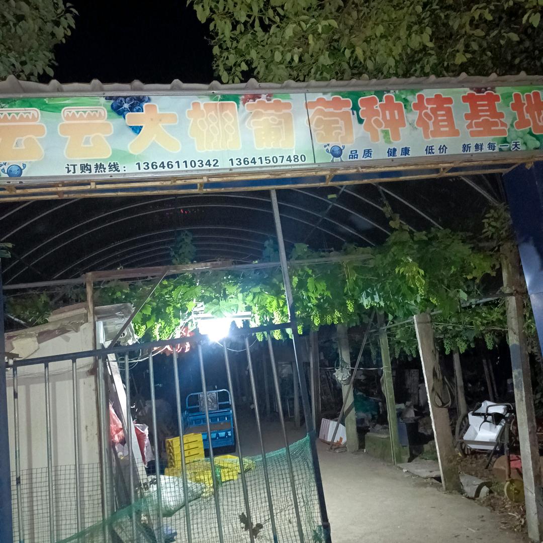 葡桃哥