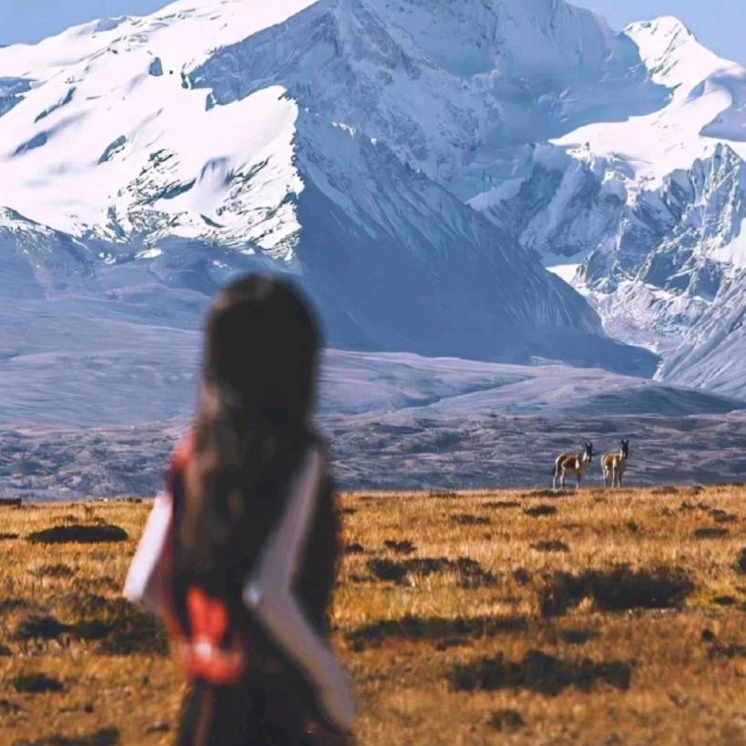 霖珺锦绚烂3c数码