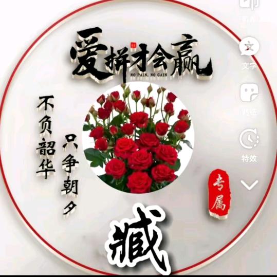 高姿态