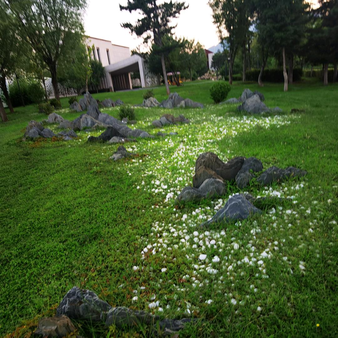 找不着北的南南