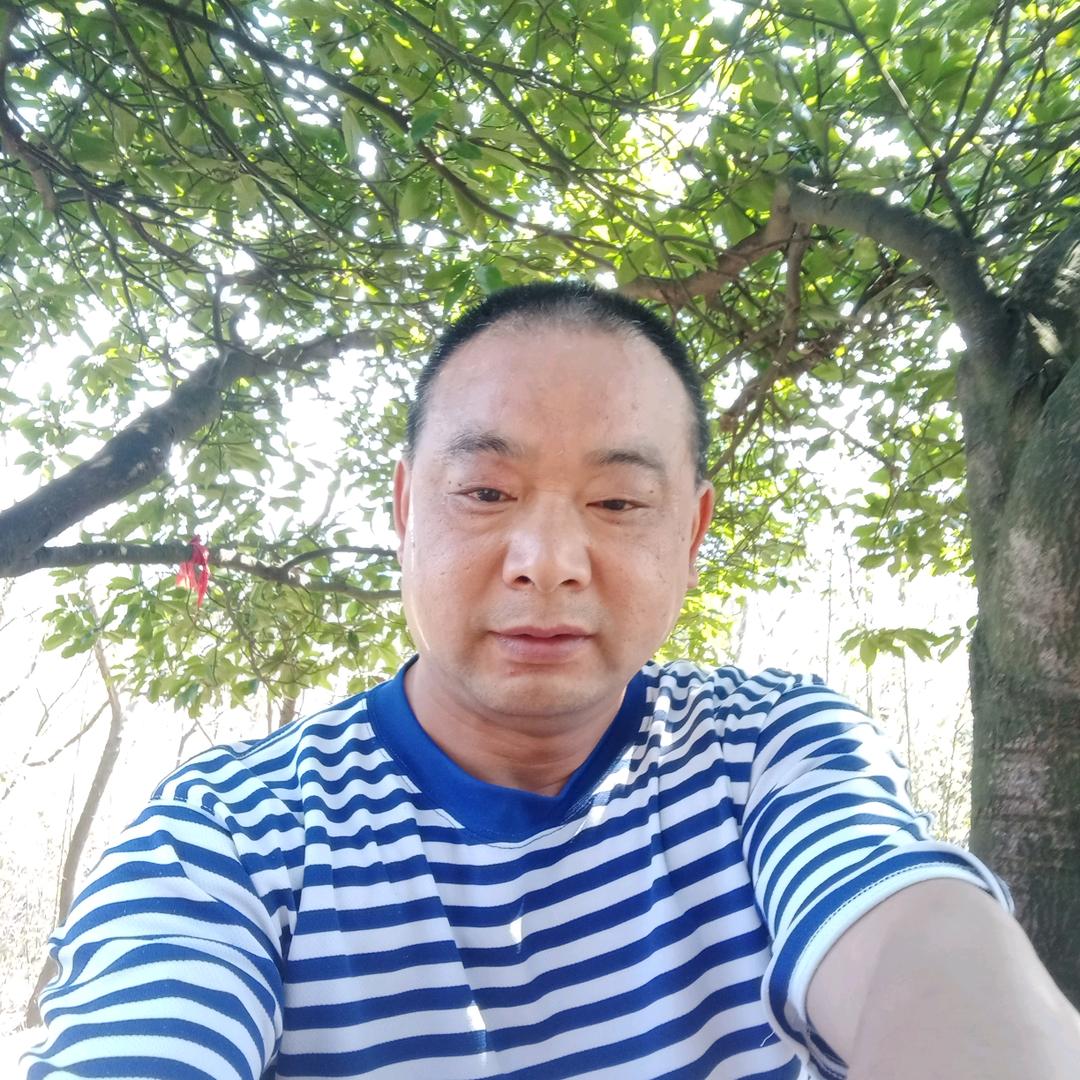 伍哥哥
